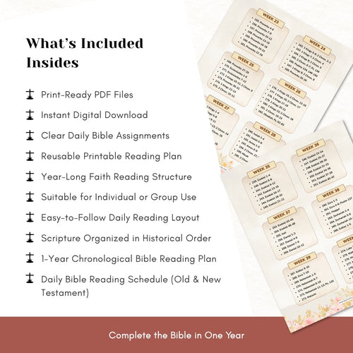 1-Year Chronological Bible Reading Plan — Read the Bible With Clarity & Consistency